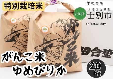 【北海道士別市】田舎塾特別栽培米 「がんこ米ゆめぴりか」20kg