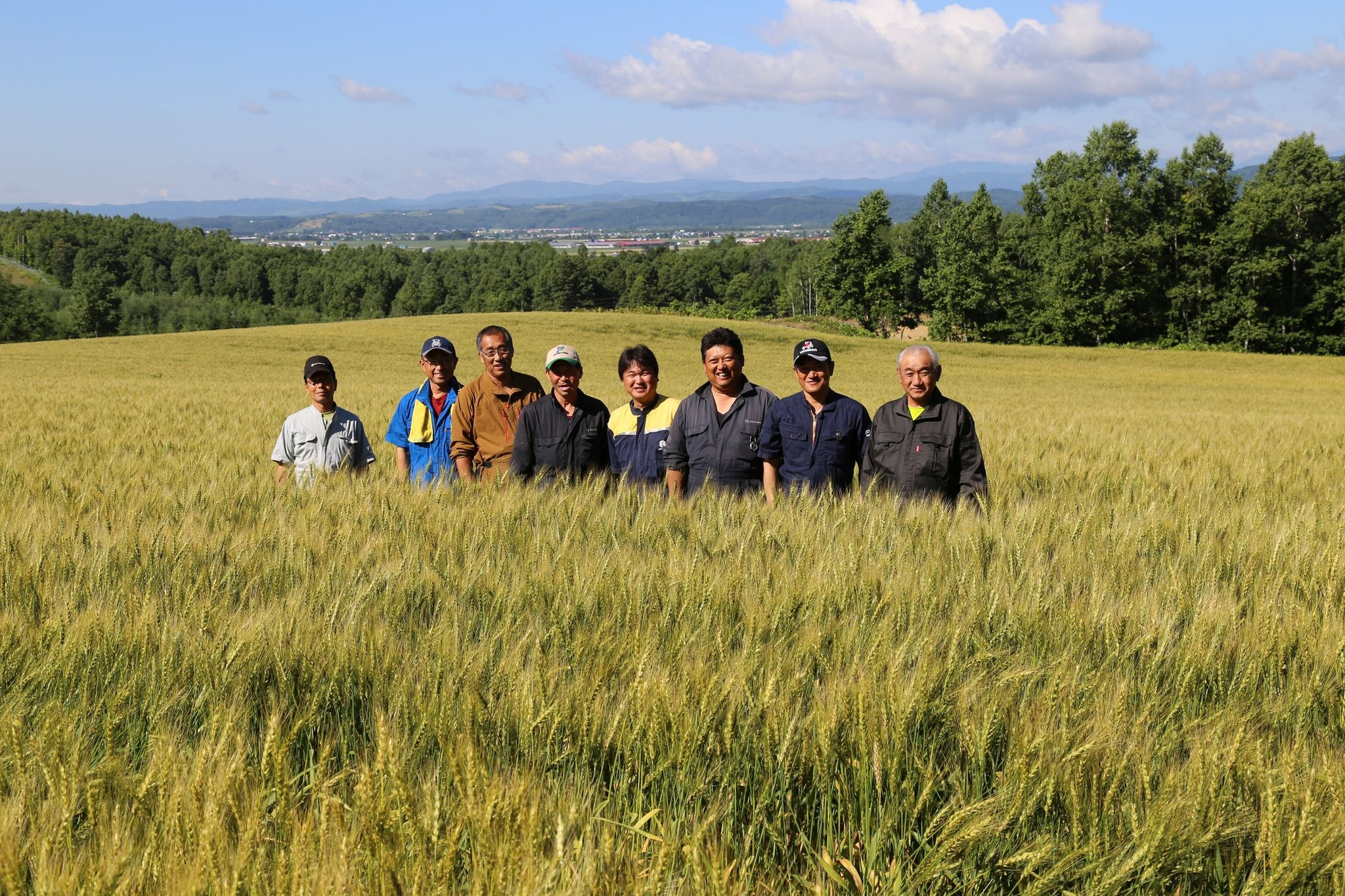 【A6002】北海道士別市たよろ産「春よ恋」100％生ラーメン (6食) 拉麺 麺 小麦麺 生麺 醤油ラーメン 醤油味 冷凍 【合同会社人考研】