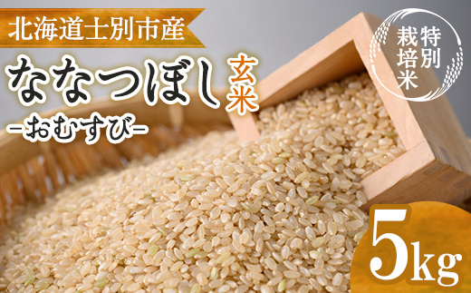《特別栽培米》北海道士別市産 ななつぼし 玄米 「おむすび」 (5kg) 数量限定 米 お米 玄米 道産米 北海道米 ごはん おこめ コメ 【高松農園】【B7145】