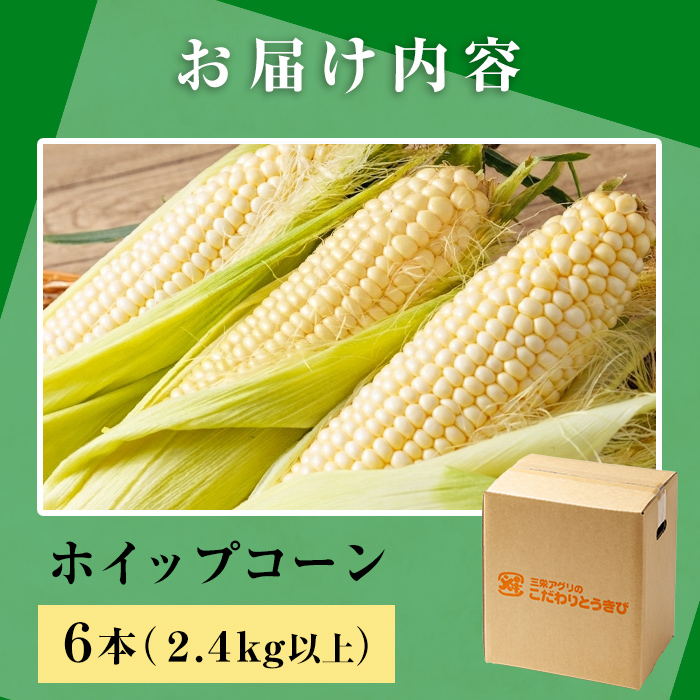 ＜期間限定＞天塩川源流スイートコーン ホイップコーン (6本) 【2026年8月下旬より順次発送】北海道産 北海道 士別市 とうもろこし トウモロコシ とうきび コーン 野菜 産地直送 【三栄アグリ】【A7095】