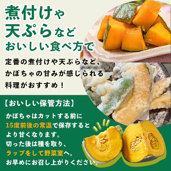 北海道士別産 かぼちゃ ほろほろ (4kg)【9月下旬以降準備ができ次第発送】 北海道産 国産 カボチャ 南瓜 野菜 煮物 サラダ 天ぷら 甘い 味覚の秋 【吉方農園】【A7143】