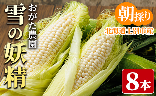 ホワイトスイートコーン 雪の妖精 (8本)【2026年7月下旬以降発送予定】 北海道産 北海道 士別市 とうもろこし スイートコーン とうきび 野菜 産地直送 新鮮野菜 【おがた農園】【A7059】