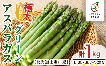 【B7109】＜特別栽培・期間限定＞北海道士別市産 極太グリーンアスパラ (L～3Lサイズ混合・1kg) 【2026年5月以降順次発送】野菜 太い 極太 アスパラ アスパラガス グリーンアスパラ 北海道 北海道産 国産 旬 産地直送 【あったかふぁーむ】