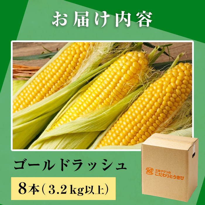 ＜期間限定＞天塩川源流スイートコーン ゴールドラッシュ (8本) 【2026年8月下旬より順次発送】北海道産 北海道 士別市 とうもろこし トウモロコシ とうきび コーン 野菜 産地直送 【三栄アグリ】【A7093】