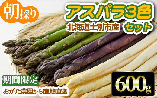 《数量・期間限定》朝採り アスパラ3色セット(600g)【2026年4月下旬以降発送予定】 アスパラガス アスパラ ホワイトアスパラ グリーンアスパラ パープルアスパラ 紫アスパラ 北海道産 野菜 朝採り 産地直送 新鮮野菜 【おがた農園】【A7149】