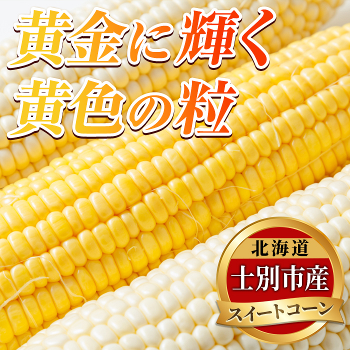 ＜期間限定＞天塩川源流スイートコーン ゴールドラッシュ (6本)【2026年8月下旬より順次発送】北海道産 北海道 士別市 とうもろこし トウモロコシ とうきび コーン 野菜 産地直送 【三栄アグリ】【A7092】