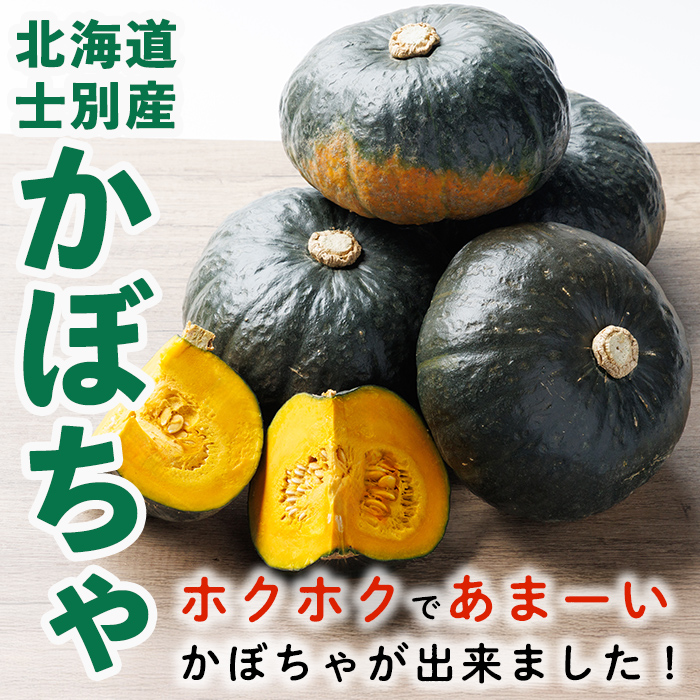 北海道士別産 かぼちゃ ほろほろ (8kg)【9月下旬以降準備ができ次第発送】 北海道産 国産 カボチャ 南瓜 野菜 煮物 サラダ 天ぷら 甘い 味覚の秋 【吉方農園】【B7151】