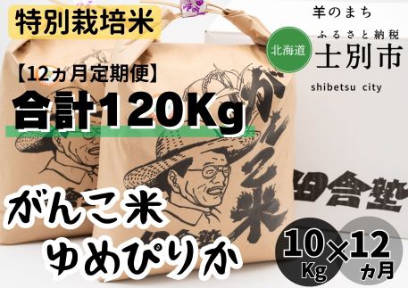 【北海道士別市】（12ヵ月定期便）田舎塾特別栽培米 「がんこ米ゆめぴりか」10kg×12ヵ月