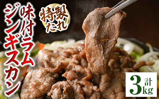 味付きラムジンギスカン (計3kg・600g×5袋) 羊 羊肉 ジンギスカン ラム 味付 冷凍 焼肉 BBQ 晩御飯 おかず 【いろは肉店】【C7066】