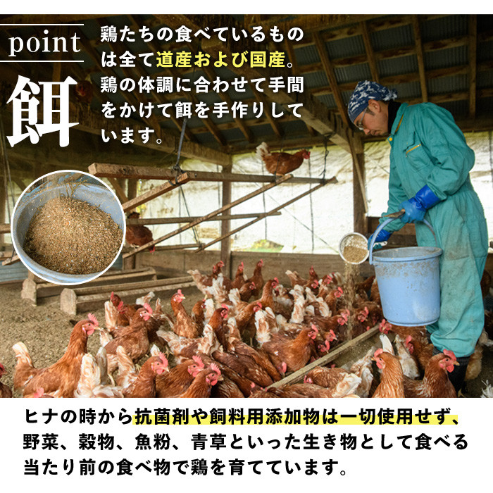 昔ながらの庭先たまご(80個 / 割れ保証＋3個・サイズ混合) 卵 玉子 たまご 平飼い 80個 濃厚 うまみ 卵かけご飯 目玉焼き 卵焼き ごはん おかず 【ファームあるむ】【B7155】