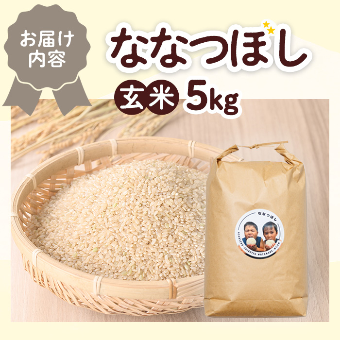 《数量限定》北海道 士別市朝日町の元気ファミリー米 ななつぼし 玄米 (5kg) 【2026年3月以降発送】 米 お米 北海道米 北海道産 北海道米 士別市産 ごはん 5kg 【渡邉農園】【B7144】