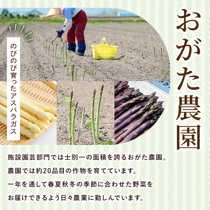 《数量・期間限定》朝採り アスパラ3色セット(1kg)【2026年4月下旬以降発送予定】 アスパラガス アスパラ ホワイトアスパラ グリーンアスパラ パープルアスパラ 紫アスパラ 北海道産 野菜 朝採り 産地直送 新鮮野菜 【おがた農園】【B7152】
