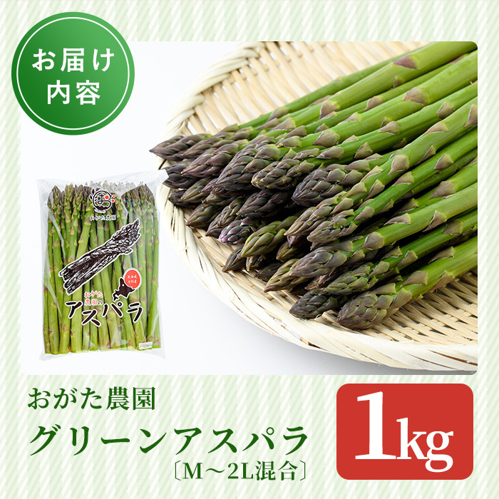 《先行予約受付中》《数量・期間限定》朝採り グリーンアスパラ(1kg・ M～2L混合)【2026年4月下旬以降発送予定】アスパラガス アスパラ 北海道産 野菜 朝採り 産地直送 新鮮野菜 【おがた農園】【B7076】