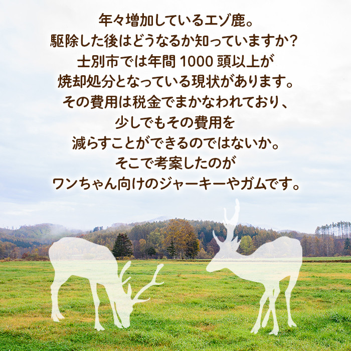 【B7062】＜犬のおやつ・歯固め用＞ つのガム (3個) 犬 ペット おやつ 鹿角ガム 歯固め ドッグ ガム ドッグガム ペット用 フード 鹿 エゾ鹿 蝦夷鹿 北海道 士別市 贈り物 愛犬 プレゼント 【士別ジビエ工房 CHOUETTE】