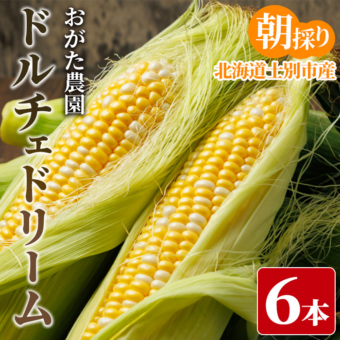 スイートコーン ドルチェドリーム (6本)【2026年7月下旬以降発送予定】 北海道産 北海道 士別市 バイカラー とうもろこし とうきび 野菜 産地直送 新鮮野菜 【おがた農園】【A7147】