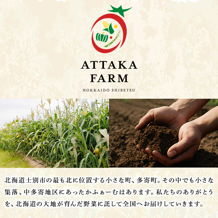 《先行予約受付中》北海道 士別市産 極甘 ピクニックコーン (12本) 【2026年8月以降順次発送】 とうもろこし トウモロコシ とうきび コーン野菜 新鮮 産地直送 甘い 北海道 北海道産 国産 旬 【あったかふぁーむ】【B7127】