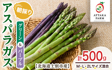 【A7082】＜特別栽培・期間限定＞北海道士別市産 アスパラ食べ比べ！グリーン＆パープル2色セット (M～2Lサイズ混合・500g) 【2026年5月以降順次発送】野菜 アスパラガス グリーンアスパラ パープルアスパラ 北海道 北海道産 国産 産地直送 【あったかふぁーむ】