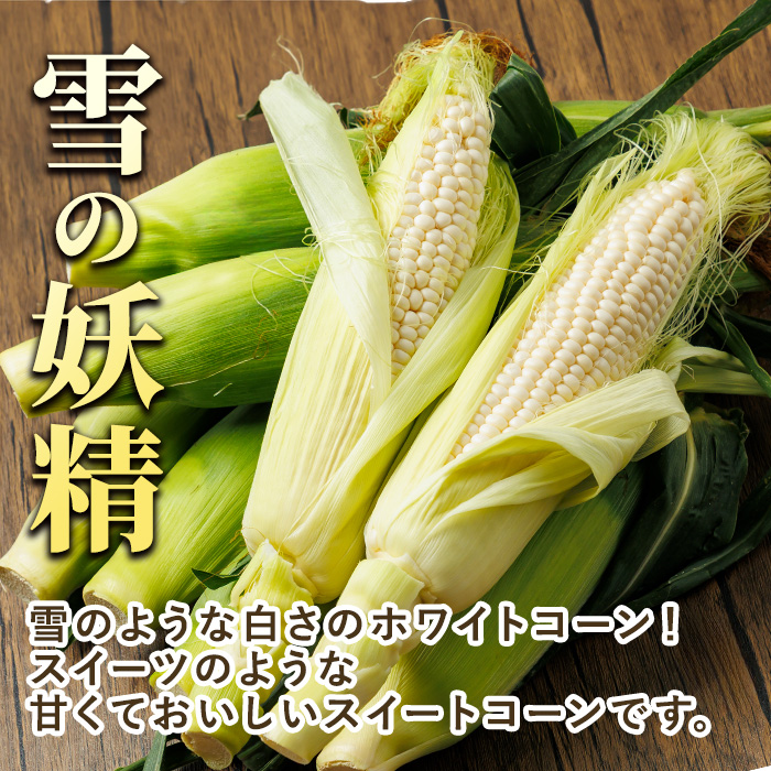 ãã¯ã€ãã¹ã€ãŒãã³ãŒã³ éªã®åŠç²Ÿ (8æ¬)ã2026幎7æäžæ¬ä»¥éçºéäºå®ã åæµ·éç£ åæµ·é 士å¥åž ãšããããã ã¹ã€ãŒãã³ãŒã³ ãšããã³ éè ç£å°çŽé æ°é®®éè ãããã蟲åããA7059ã