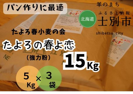 【北海道士別市】たよろの春よ恋（強力粉）　5kg×3袋