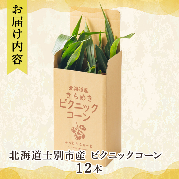 《先行予約受付中》北海道 士別市産 極甘 ピクニックコーン (12本) 【2026年8月以降順次発送】 とうもろこし トウモロコシ とうきび コーン野菜 新鮮 産地直送 甘い 北海道 北海道産 国産 旬 【あったかふぁーむ】【B7127】