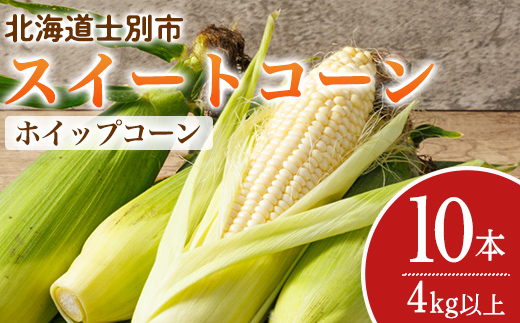 ＜期間限定＞天塩川源流スイートコーン ホイップコーン (10本)【2026年8月下旬より順次発送】北海道産 北海道 士別市 とうもろこし トウモロコシ とうきび コーン 野菜 産地直送 【三栄アグリ】【A7097】