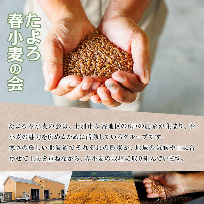 【B7028】＜北海道士別市産小麦＞ たよろの春よ恋 強力粉 ( 1kg×4袋・計4kg) 【2026年1月20日以降発送予定】小麦 小麦粉 強力粉 春よ恋 北海道産 士別市産 国産 国産小麦粉 パン お菓子 料理 1kg【たよろ春小麦の会】