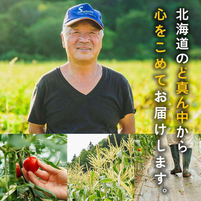 ＜期間限定＞天塩川源流スイートコーン 品種いろいろ詰め合わせ (6本) 【2026年8月下旬より順次発送】 北海道産 北海道 士別市 とうもろこし トウモロコシ とうきび コーン 野菜 産地直送 【三栄アグリ】【A7136】