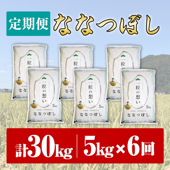 【令和7年産】《 定期便・全6回 》上士別の生産者がつくるななつぼし ( 5kg×6回・計30kg) 北海道 士別市産 米 お米 白米 北海道産 北海道米 ななつぼし 特A 一等級 コメ 単一原料米 定期便 5kg 30kg【天塩の恵み上士別】【E7085】