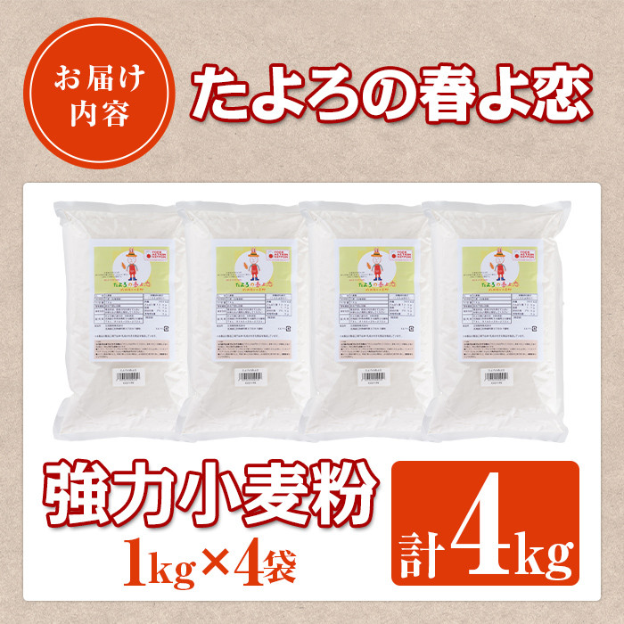 【B7028】＜北海道士別市産小麦＞ たよろの春よ恋 強力粉 ( 1kg×4袋・計4kg) 【2026年1月20日以降発送予定】小麦 小麦粉 強力粉 春よ恋 北海道産 士別市産 国産 国産小麦粉 パン お菓子 料理 1kg【たよろ春小麦の会】