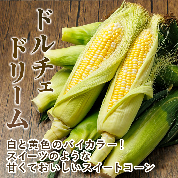 スイートコーン ドルチェドリーム (10本)【2026年7月下旬以降発送予定】 北海道産 北海道 士別市 バイカラー とうもろこし とうきび 野菜 産地直送 新鮮野菜 【おがた農園】【A7148】