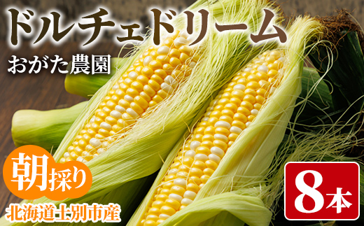 スイートコーン ドルチェドリーム (8本)【2026年7月下旬以降発送予定】 北海道産 北海道 士別市 バイカラー とうもろこし とうきび 野菜 産地直送 新鮮野菜 【おがた農園】【A7060】