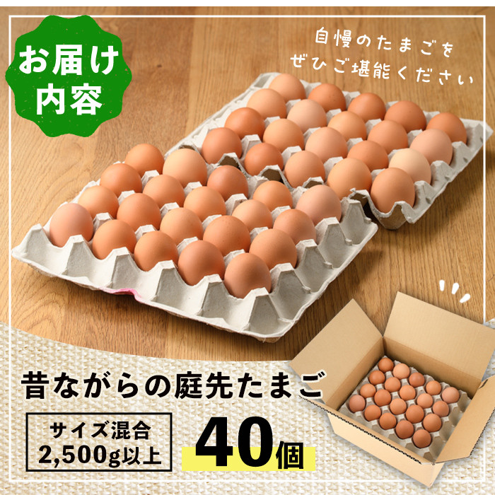 縲植7052縲第斐↑縺後i縺ョ蠎ュ蜈医◆縺セ縺(40蛟九サ繧オ繧、繧コ豺キ蜷) 蜊オ 邇牙ュ 縺溘∪縺 蟷ウ鬟シ縺 40蛟 豼蜴 縺縺セ縺ソ 蜊オ縺九¢縺秘」ッ 逶ョ邇臥┥縺 蜊オ辟シ縺 縺斐ッ繧 縺翫°縺壹舌ヵ繧。繝シ繝縺ゅk繧縲