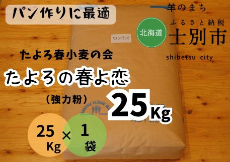 【北海道士別市】たよろの春よ恋（強力粉）　25kg×1袋