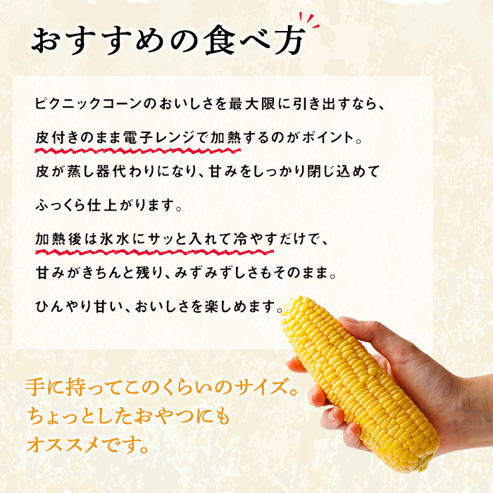 《先行予約受付中》北海道 士別市産 極甘 ピクニックコーン (12本) 【2026年8月以降順次発送】 とうもろこし トウモロコシ とうきび コーン野菜 新鮮 産地直送 甘い 北海道 北海道産 国産 旬 【あったかふぁーむ】【B7127】