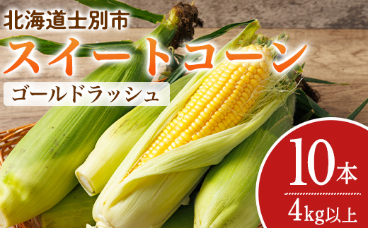 ＜期間限定＞天塩川源流スイートコーン ゴールドラッシュ (10本) 【2026年8月下旬より順次発送】北海道産 北海道 士別市 とうもろこし トウモロコシ とうきび コーン 野菜 産地直送 【三栄アグリ】【A7094】
