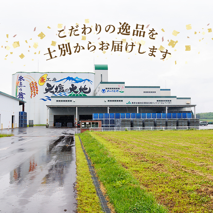 ＜定期便・全2回＞JAブランド米 氷点の舞 ななつぼし (10kg×2回)米 お米 北海道米 北海道産 北海道米 士別市産 ごはん 精米 白米 10kg 20kg 定期便 【ホクレン商事】【E7114】