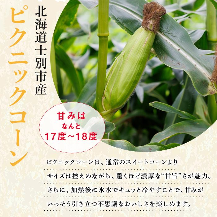 《先行予約受付中》北海道 士別市産 極甘 ピクニックコーン (12本) 【2026年8月以降順次発送】 とうもろこし トウモロコシ とうきび コーン野菜 新鮮 産地直送 甘い 北海道 北海道産 国産 旬 【あったかふぁーむ】【B7127】