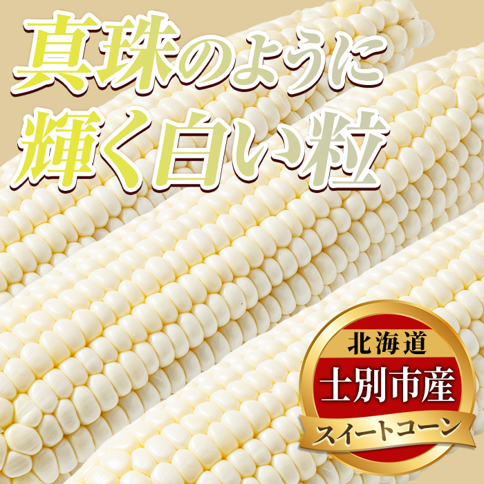 ＜期間限定＞天塩川源流スイートコーン ホイップコーン (8本)【2026年8月下旬より順次発送】北海道産 北海道 士別市 とうもろこし トウモロコシ とうきび コーン 野菜 産地直送 【三栄アグリ】【A7096】