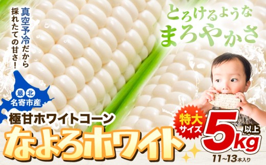 【先行予約】 受付中  とうもろこし ホワイトコーン 「 なよろホワイト 」 5kg 以上 11〜13本  《2026年8月上旬-9月中旬頃出荷》特大 サイズ北海道 朝採り 真空予冷 冷蔵 高糖度 ピュアホワイト トウモロコシ ギフト お中元 コーン　なよろホワイト　名寄ホワイト　TVで紹介