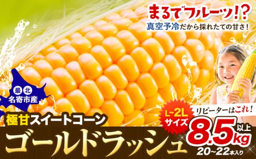 【先行予約】【特大】とうもろこし 極甘 スイートコーン 「 ゴールドラッシュ 」 8.5kg 以上 【2026年8月上旬-9月中旬頃出荷】 とうもろこし 極甘 スイートコーン 「 ゴールドラッシュ 」 特大 北海道20〜22本 特大 サイズ北海道 朝採れ 真空予冷 冷蔵 高糖度  トウモロコシ ギフト お中元 コーン　なよろイエロー　名寄イエロー　TVで紹介