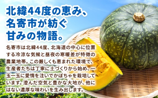北海道名寄産 かぼちゃ 10kg 5玉〜6玉北海道 名寄市 野菜 かぼちゃ 南瓜 黄金かぼちゃ先行予約【2026年10月上旬-10月下旬頃出荷】