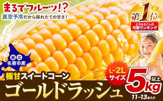 【2026年先行予約】【特大】とうもろこし 極甘 スイートコーン 「 ゴールドラッシュ 」 5kg 以上 11〜13本 特大 サイズ 先行予約 受付中 《2026年8月上旬-9月中旬頃出荷》 特大 北海道 北海道 朝採れ 真空予冷 冷蔵 高糖度 夏野菜 　なよろイエロー　TV紹介　