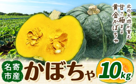 北海道名寄産 かぼちゃ 10kg 5玉〜6玉北海道 名寄市 野菜 かぼちゃ 南瓜 黄金かぼちゃ先行予約【2026年10月上旬-10月下旬頃出荷】