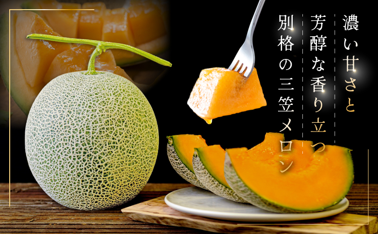 《2026年分受付中！6月下旬ごろ締め切り》大玉！ジューシーな果肉のI.Kメロン1玉｜ メロン 先行予約 大玉 フルーツ 果物 デザート グルメ 旬 取り寄せ 贈り物 北海道 ふるさと納税 三笠市 三笠【01003】