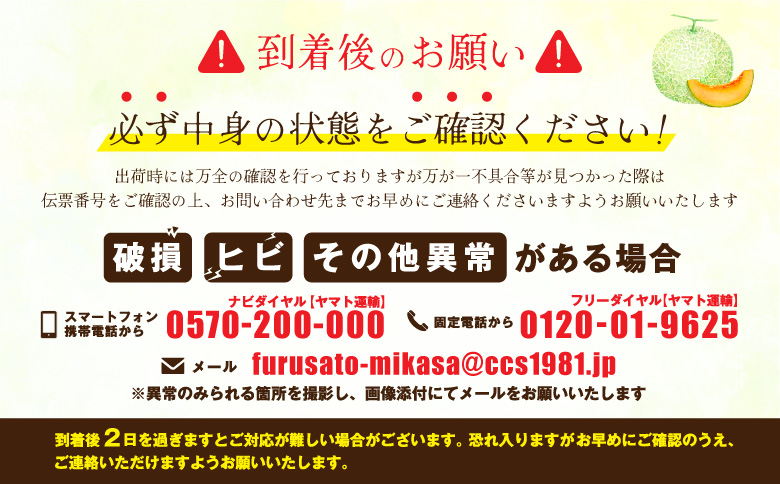《2026年分受付中！6月下旬ごろ締め切り》大玉！ジューシーな果肉のI.Kメロン1玉｜ メロン 先行予約 大玉 フルーツ 果物 デザート グルメ 旬 取り寄せ 贈り物 北海道 ふるさと納税 三笠市 三笠【01003】
