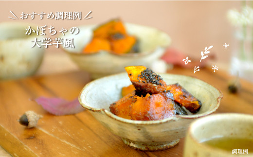 《令和8年分》数量限定！季節のお野菜詰め合わせ 秋(配送時期：9月～10月)| ふるさと納税 北海道 三笠 野菜 秋野菜 秋 新鮮 新鮮野菜 詰合せ 詰め合わせ お取り寄せ ワンストップ マイページ 道の駅みかさ 農家の店 三笠市【01018】