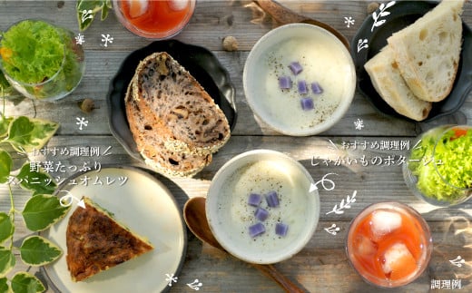 《令和8年分》数量限定！季節のお野菜詰め合わせ 秋(配送時期：9月～10月)| ふるさと納税 北海道 三笠 野菜 秋野菜 秋 新鮮 新鮮野菜 詰合せ 詰め合わせ お取り寄せ ワンストップ マイページ 道の駅みかさ 農家の店 三笠市【01018】