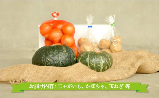 《令和8年分》数量限定！季節のお野菜詰め合わせ 秋(配送時期：9月～10月)| ふるさと納税 北海道 三笠 野菜 秋野菜 秋 新鮮 新鮮野菜 詰合せ 詰め合わせ お取り寄せ ワンストップ マイページ 道の駅みかさ 農家の店 三笠市【01018】