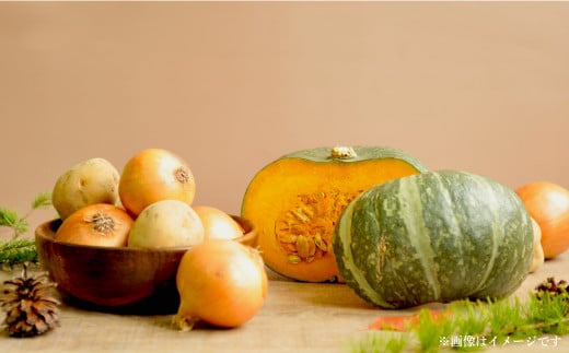 《令和8年分》数量限定！季節のお野菜詰め合わせ 秋(配送時期：9月～10月)| ふるさと納税 北海道 三笠 野菜 秋野菜 秋 新鮮 新鮮野菜 詰合せ 詰め合わせ お取り寄せ ワンストップ マイページ 道の駅みかさ 農家の店 三笠市【01018】