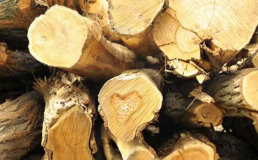 ≪キャンプにおすすめ!≫薪(広葉樹)キャンプストーブ・焚き火用 約10kg【01120】